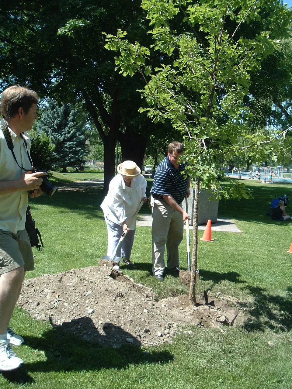 Pedro Reyes tree planting