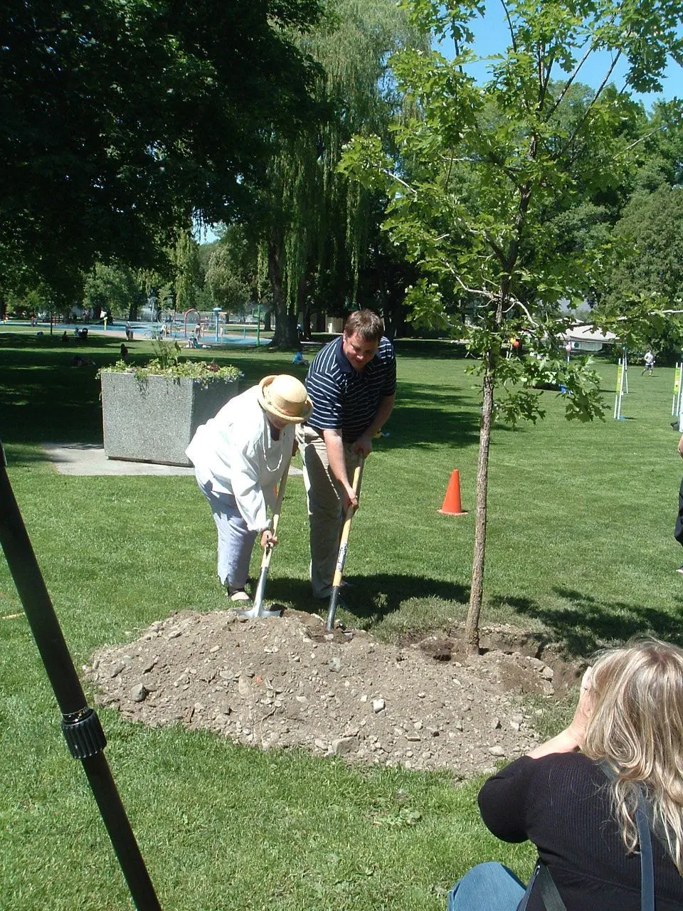 Pedro Reyes tree planting